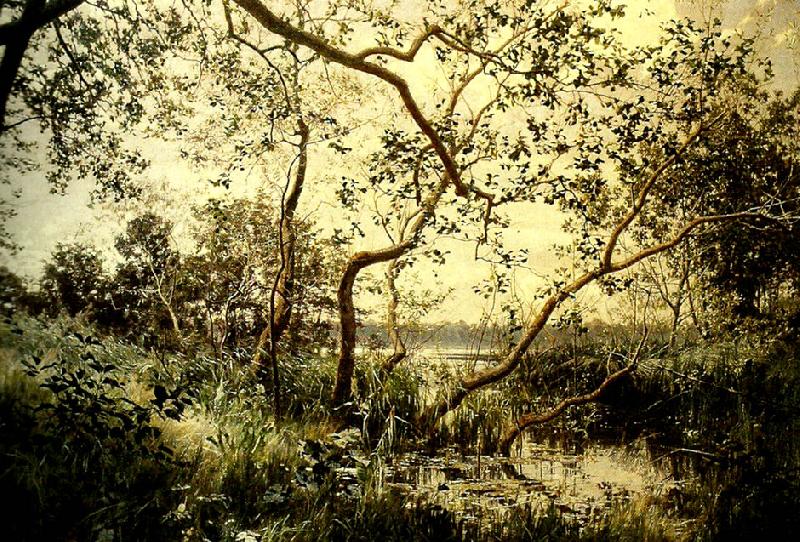 johan krouthen vattenvegetation